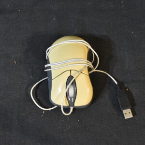 Mouse
