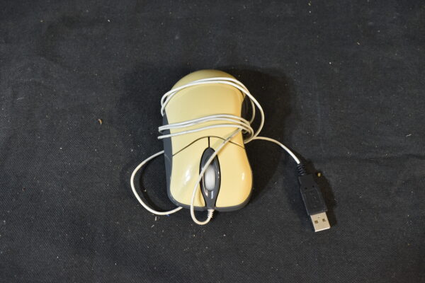 Mouse