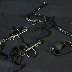Ball gag, studded collar, bondage gear