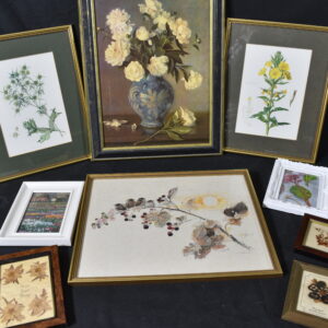 Pictures of plants