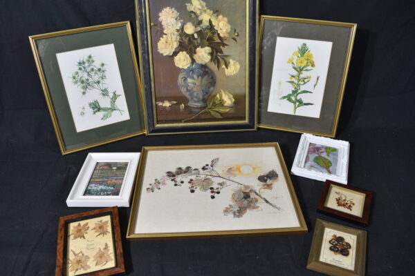 Pictures of plants