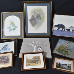Pictures of Animals
