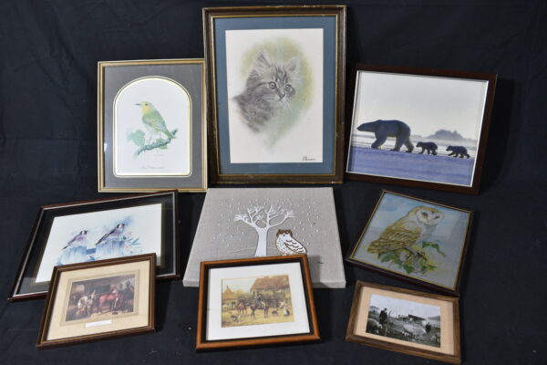 Pictures of Animals
