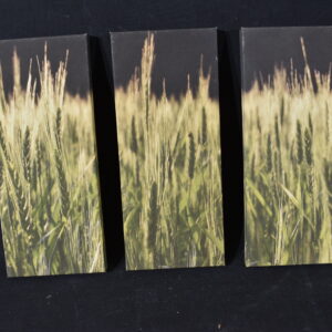 Trio Canvas print