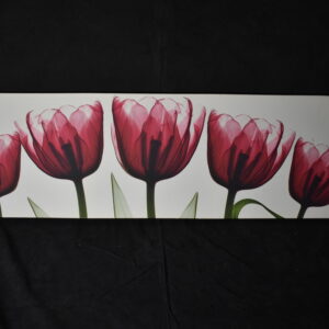 96 x 30 Red Tulips