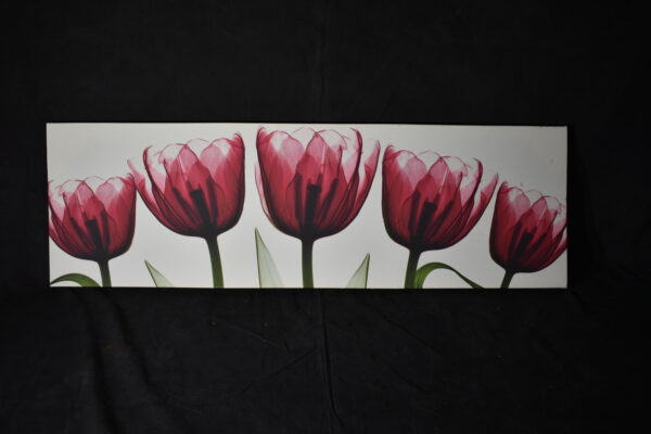 96 x 30 Red Tulips