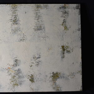 60 x 60   Obsqured