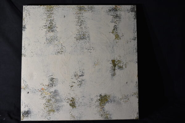 60 x 60   Obsqured