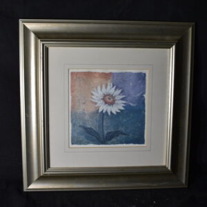 46 x 46     Daisy