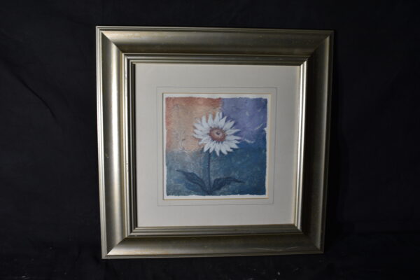 46 x 46     Daisy