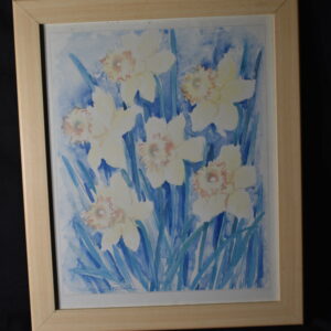 48 x 58 Daffodils