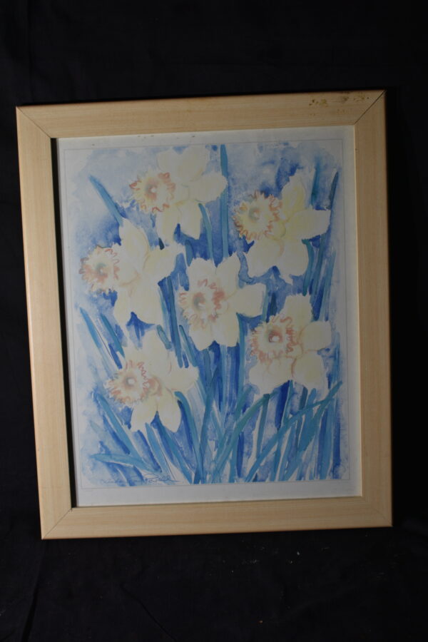 48 x 58 Daffodils