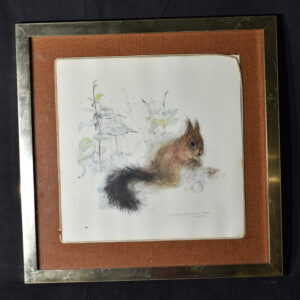 39 x 39 Squirrel Picture
