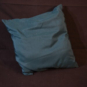 Cushion - Green cushion