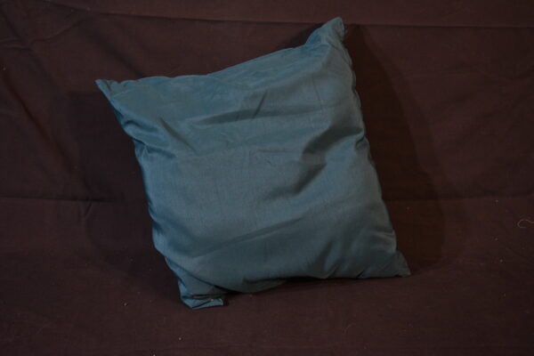 Cushion - Green cushion