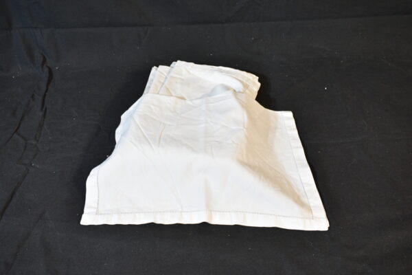White napkin with border x15