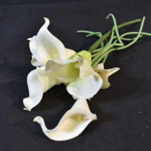 Flowers - Peace lily