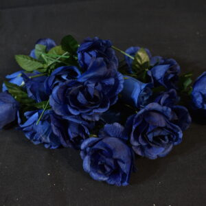 Flowers - Blue roses