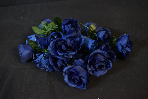 Flowers - Blue roses
