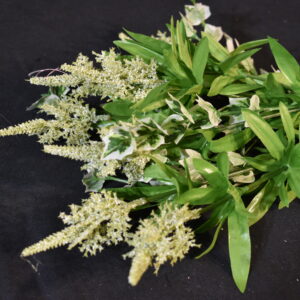 Flowers - Astibile