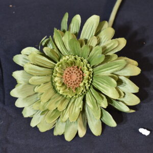 Flower - Green sunflower