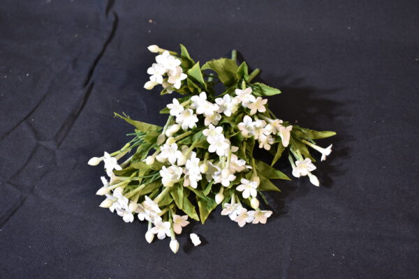 Flowers - White jasmine