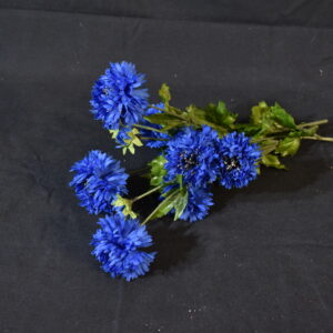 Flowers - Blue cornflower