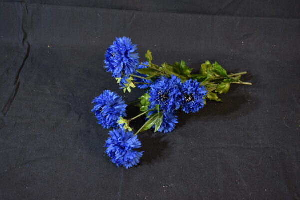 Flowers - Blue cornflower