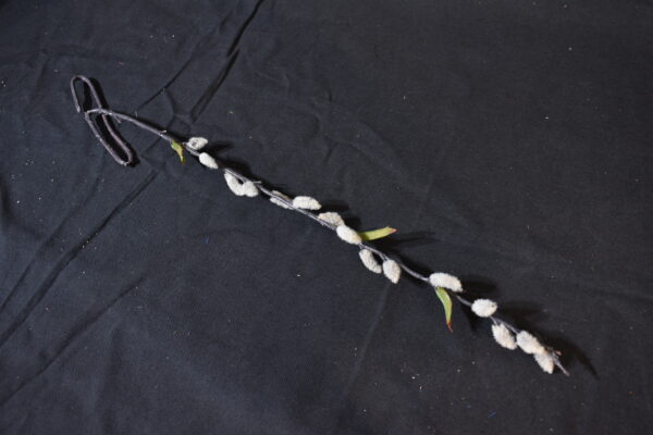 Flowers - Willow