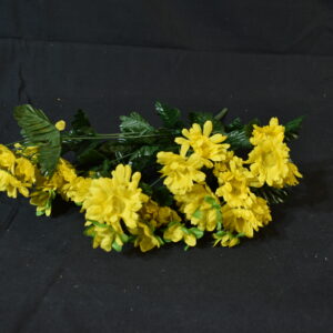 Flowers - chrysamthemum