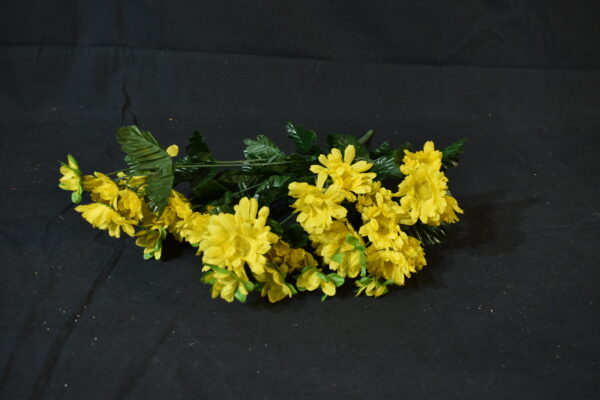 Flowers - chrysamthemum