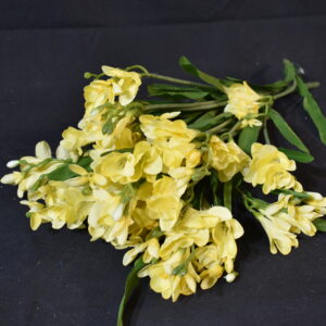 Flower - Yellow fusia