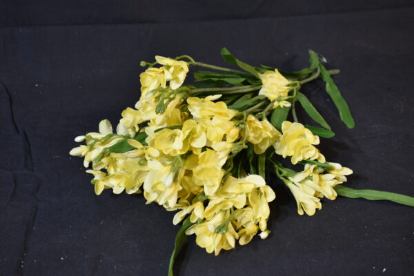 Flower - Yellow fusia