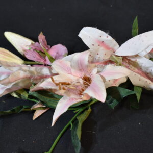 Flowers - Pink Lily