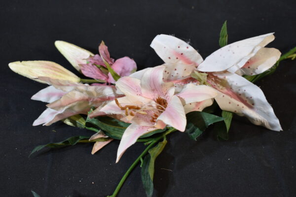 Flowers - Pink Lily