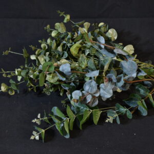 Flowers - Eucalyptus Greenery