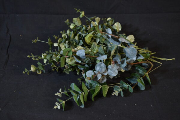 Flowers - Eucalyptus Greenery