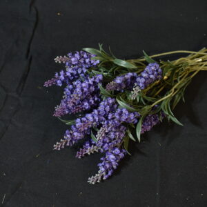 Flower - Lavender