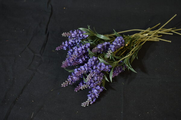 Flower - Lavender