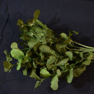 Flowers - Mint