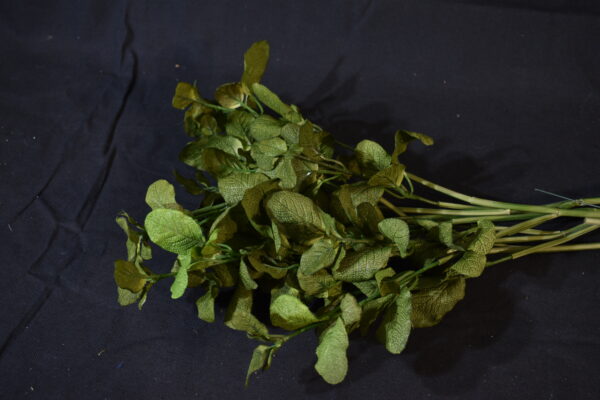 Flowers - Mint
