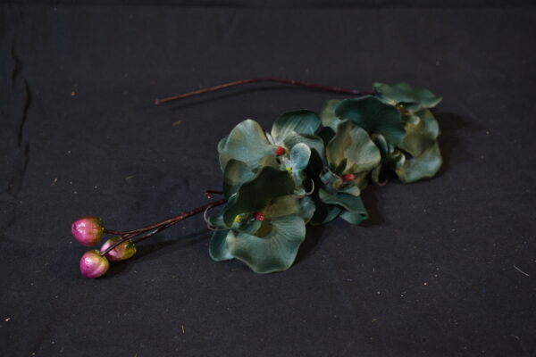 Flowers - Purple bud on twig