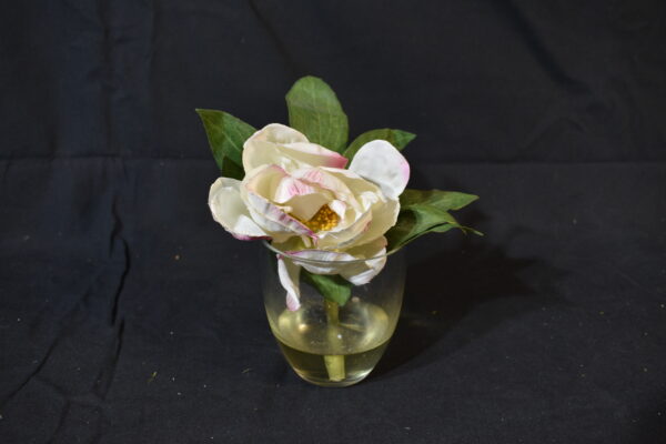 Flowers - Rose in water