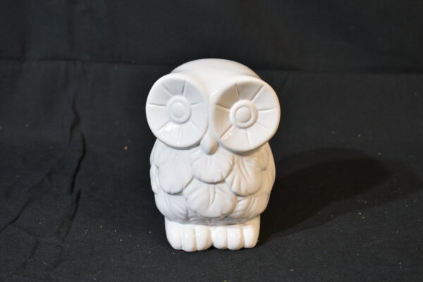 White owl