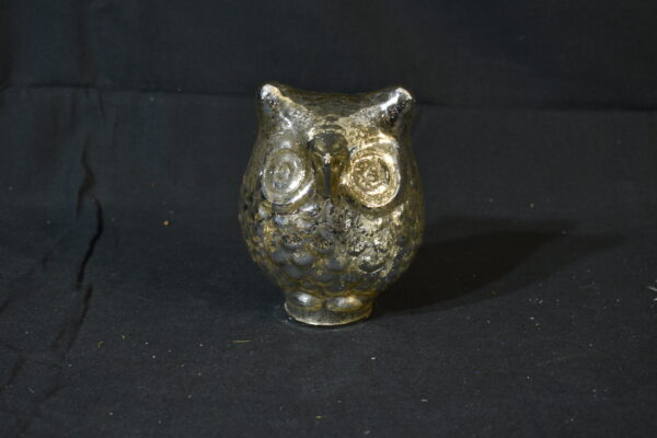 Silver owl