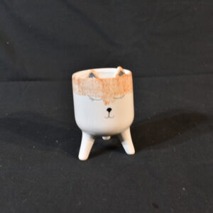 Cat face plant pot