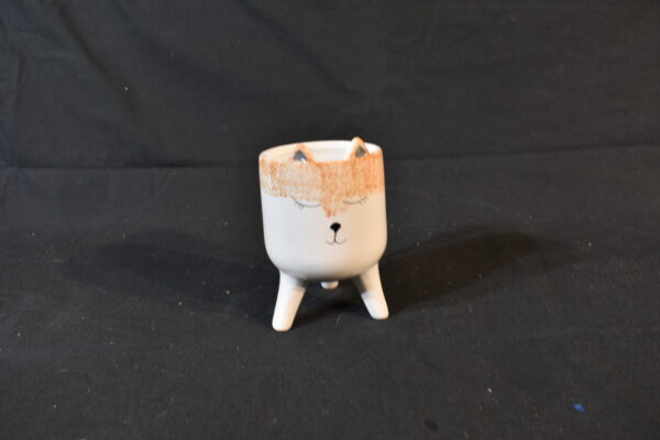 Cat face plant pot