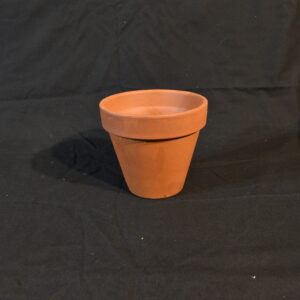 Terracotta pot