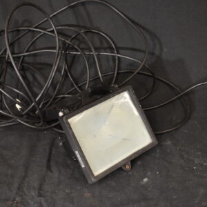 Outdoor security light