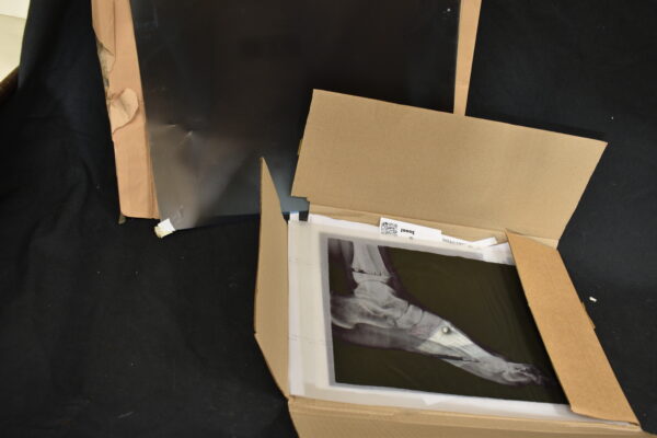 X-ray images x2